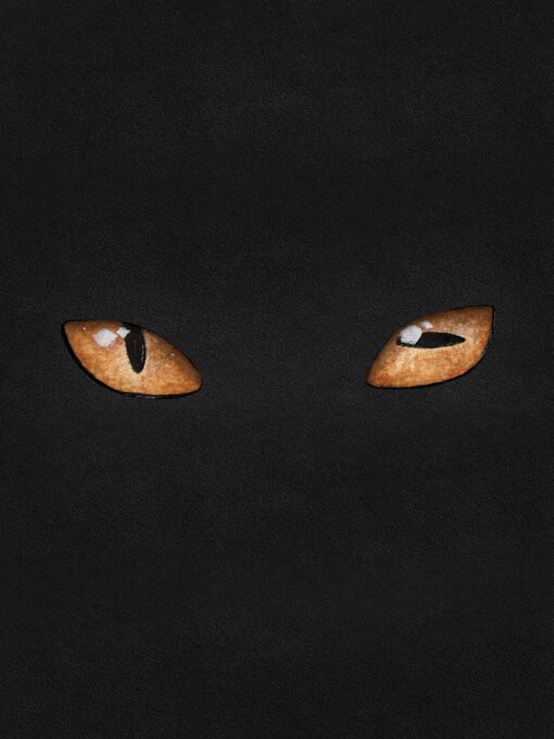 Title details for Hairball by Matt Kindt - Available